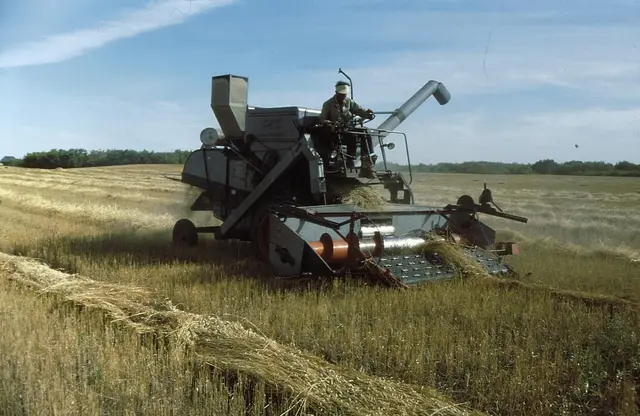 Combine harvesting a swathed field near Dysart