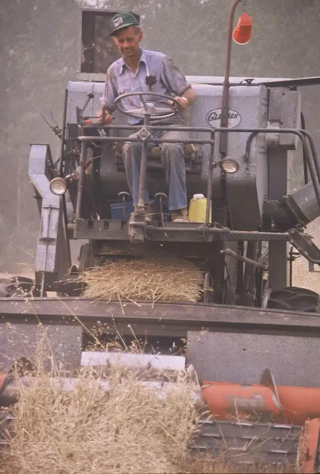 Gleaner E combine harvesting